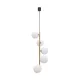 ZUMA LINE MEDALLION ALI 5648 5XG9 GOLD
