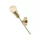 ELDLUX SCEPTER kinkiet 1×E27 złoty
