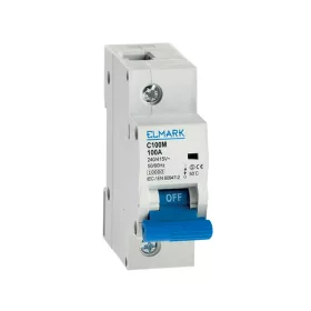MAŁY WYŁĄCZNIK AUTOMATYCZNY C100M 1P 125A KRZYWA С