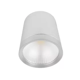LED DEEP BEAM LIGHT RDLCOB 20 W 230 V 4000 K 60° BIAŁY 