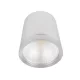 LED DEEP BEAM LIGHT RDLCOB 20 W 230 V 4000 K 60° BIAŁY 