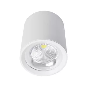   Reflektor punktowy LED FLCOM do powierzchni 30 W 230 V 4000 K 60° BIAŁY