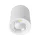 Reflektor punktowy LED FLCOM do powierzchni 30 W 230 V 4000 K 60° BIAŁY