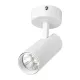 TLOM COB RAIL LIGHT 30 W 4000 K 24° BIAŁE