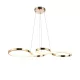 TINA LED MEDALLION 35W 3000K, FRANCUSKI ZŁOTY