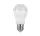ŻARÓWKA LED A60 10W E27 2700K 120LM/W WYSOKA WYDAJNOŚĆ ŻARÓWKA LED A60 10W E27 2700K 120LM/W