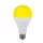 ŻARÓWKA LED GRUSZKOWA, KOLOROWA A60 8W IP20