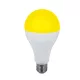 ŻARÓWKA LED GRUSZKOWA, KOLOROWA A60 8W IP20