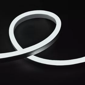 NEON FLEX LED STRIP 12 W/M 24 V IP65 ZIMNA BIAŁA