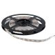 STELLAR LED STRIP SMD3528 4,8 W 60 SZT./M IP20 6000-6500 K