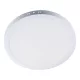 PANEL LED STELLAR DO POWIERZCHNI OKRĄGŁYCH 24 W 4000 K